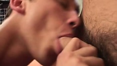 They suck each other's dicks, setting the perfect stage for hot anal action